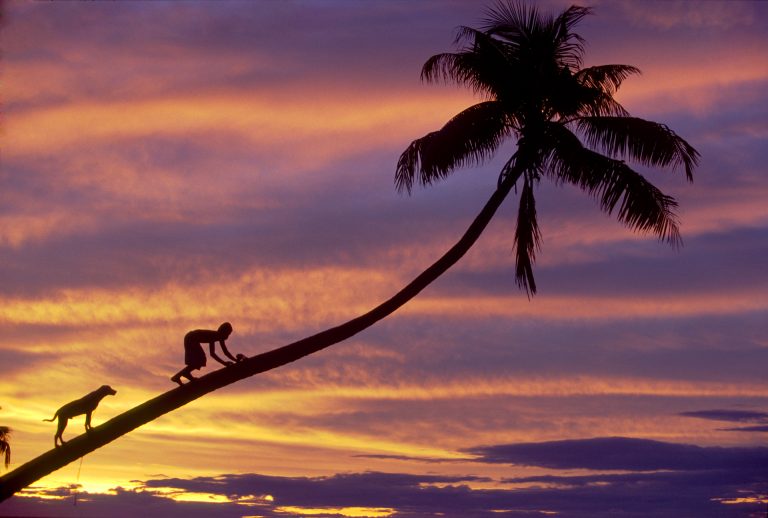 sunset taveuni fiji