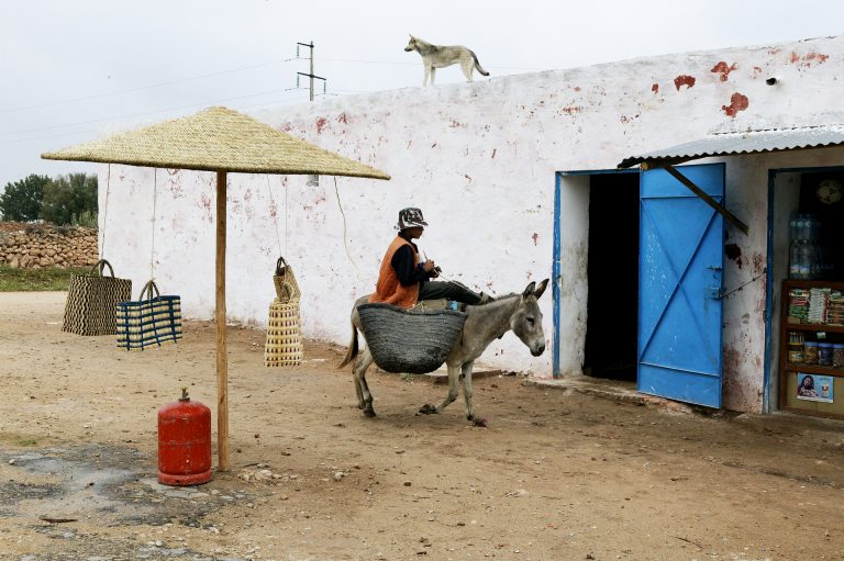 morocco boy donkey street photo travel photo tom ang