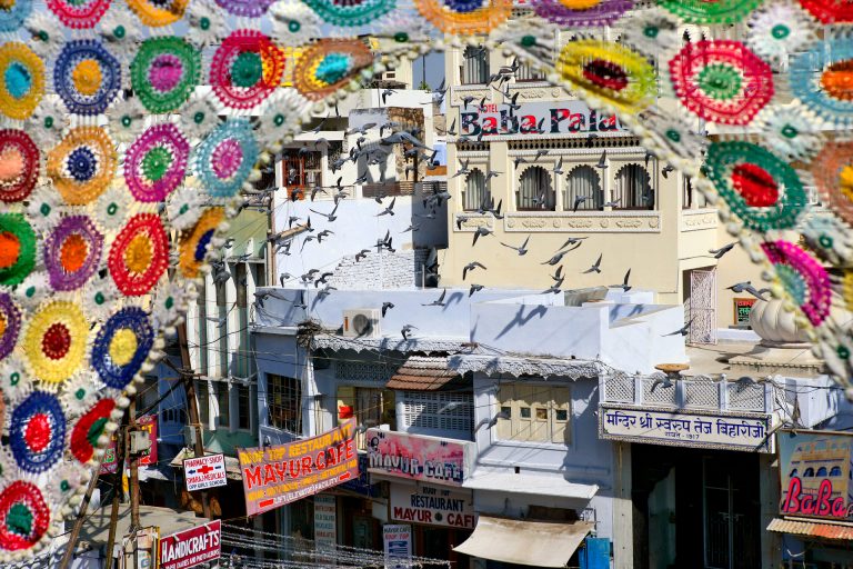 udaipur temple pigeons india travel photo tom ang