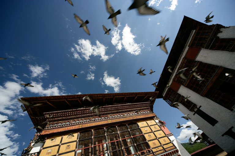 thiumpu monastery pigeons travel photo tom ang