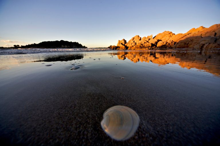 beach tauranga New Zealand seascape travel photo tom ang